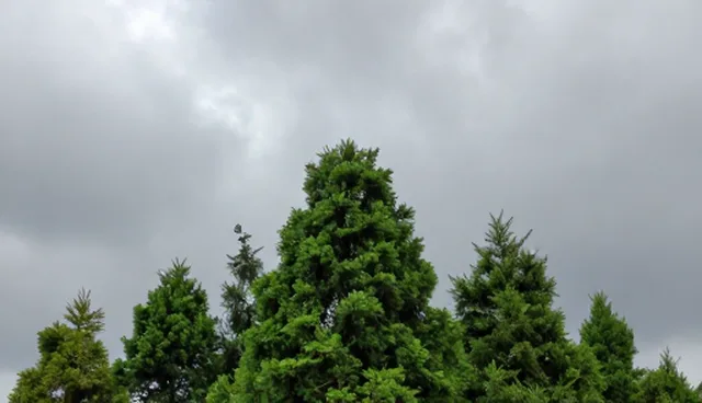 提升物流效率:抗氧剂在化工原料运输中的适用条件